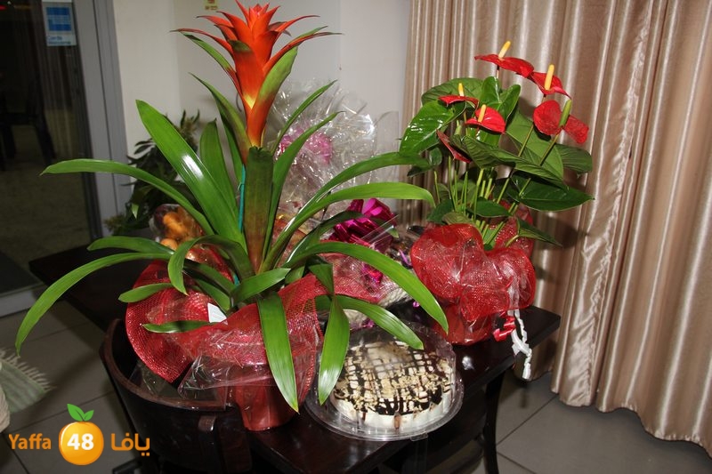 manara koliya (39).JPG